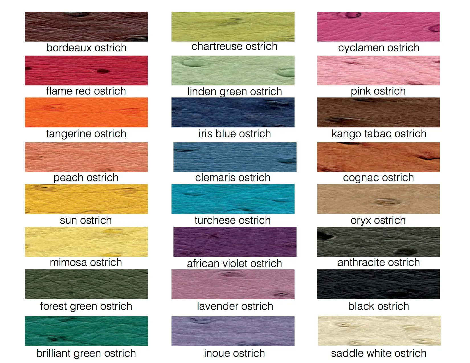 DAKOTA - ASSORTED COLORS