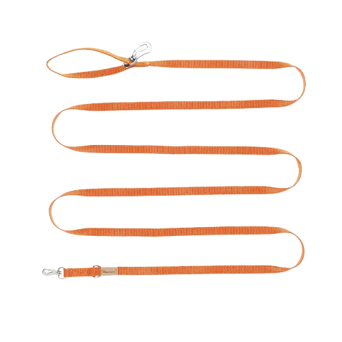 Haqihana Leash Carrot - 3m