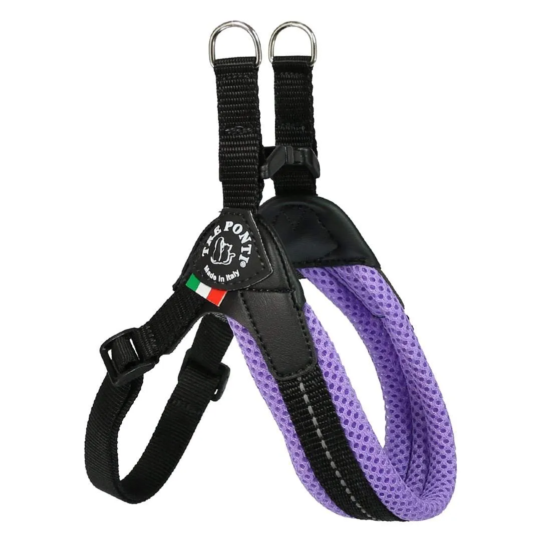 Mesh Adjustable